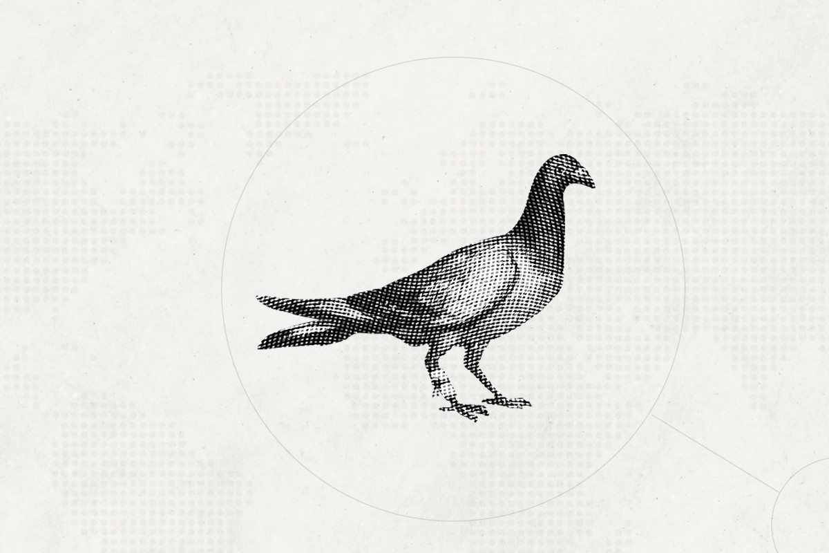 THiNKNET Design Studio วิวัฒนาการการสื่อสาร Carrier Pigeon พิราบสื่อสาร